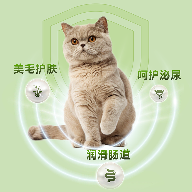 口袋厨房猫粮无谷全价鸡肉味猫粮增肥发腮营养不掉毛羊奶营养